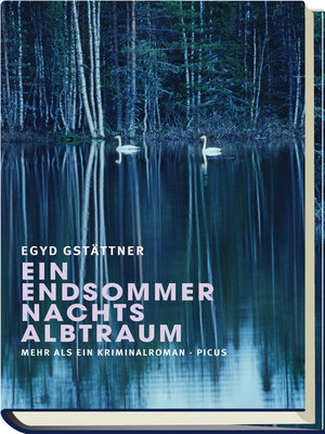 cover image of Ein Endsommernachtsalbtraum